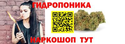МДПВ Канаш