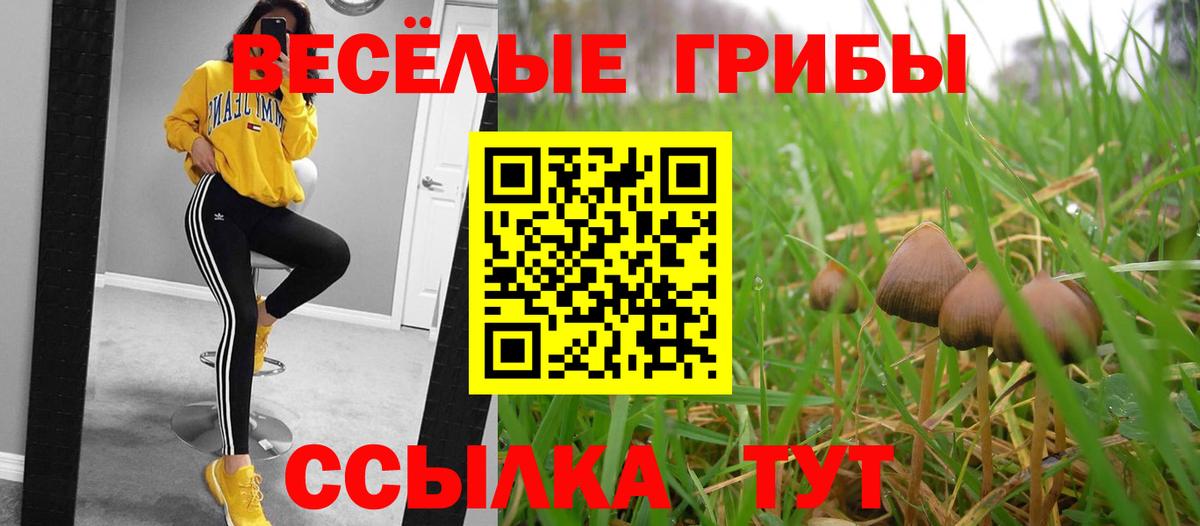 Галлюциногенные грибы Magic Shrooms Михайловск