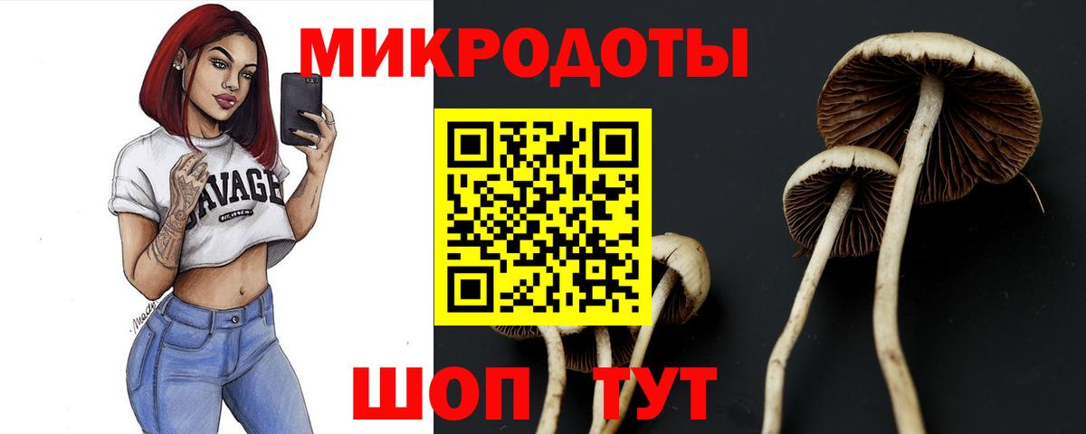 Галлюциногенные грибы мухоморы  Вход с VPN  Михайловск 